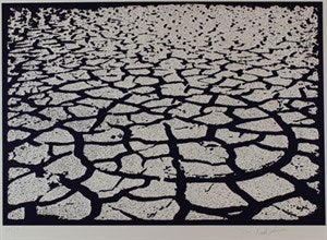 Image description is not available for FIM2015.392.1